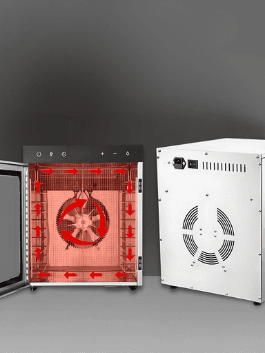 US-10 meva quritgich — uy uchun meva va sabzavot quritgich aparat