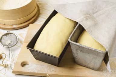 Xamir oshirish uskunasi US-T7-16