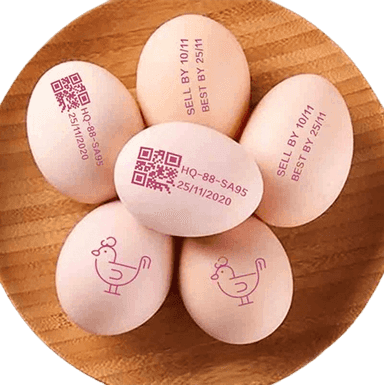 Tuxum yuzasiga ma'lumot chop etish uskunasi US-X-6127D